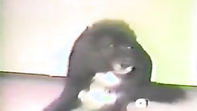 Dog sex girl: bestiality porn rule34