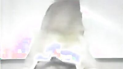 Dog sex girl: bestiality porn rule34