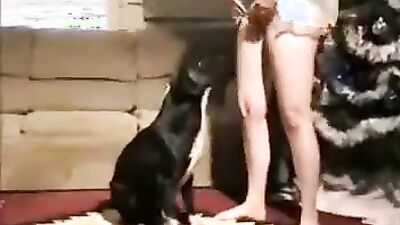 Girl having dog: porn cartoon dog cnot