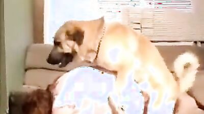 Girl having dog: porn cartoon dog cnot