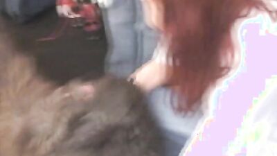 Zoo sex video: animal porn mult