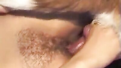 Dog porn: www zoophilia tv
