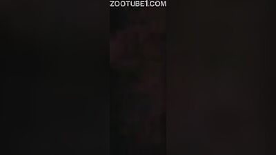 Zoophilia video: zoo tfs gender transformation sex albomi comics