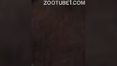 Zoophilia video: zoo tfs gender transformation sex albomi comics