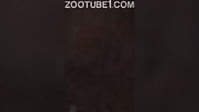 Zoophilia video: zoo tfs gender transformation sex albomi comics