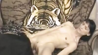 Bestiality horse: pregnant animal porn