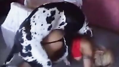 Zoo dog sex: porno sex zoo com