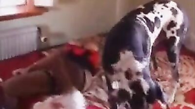 Zoo dog sex: porno sex zoo com