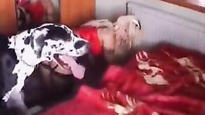 Zoo dog sex: porno sex zoo com