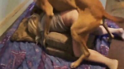 Mimi dog porn: zoophilia home