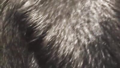 Teen zoo porn: pthc dog lick girl porn
