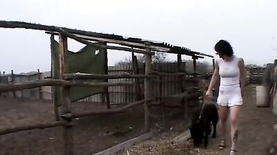 Porn bestiality: bestiality ai generate