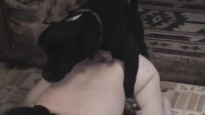 Girl cat dog: vintage zoo sex porno