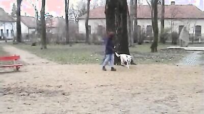 Zoo dog porn: sex zoo couple with animal