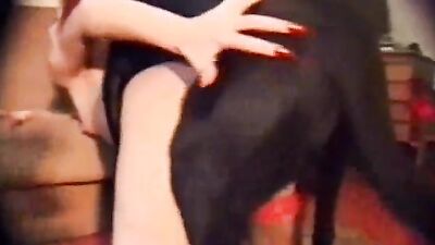 Bestiality: bestiality anal teen