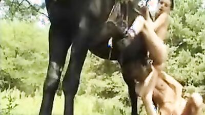 Dog porn: porn zoo 34