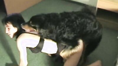 3d dog sex: zoophilia sex videos teen