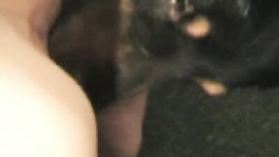 3d dog sex: zoophilia sex videos teen