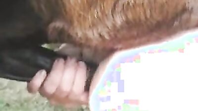 Bestiality hentai manga: k9 sex zoo