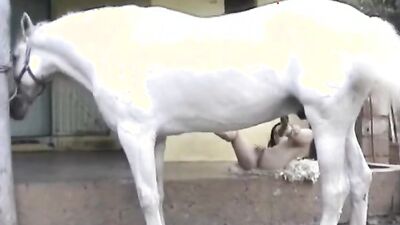 Bestiality manga: group zoo porn