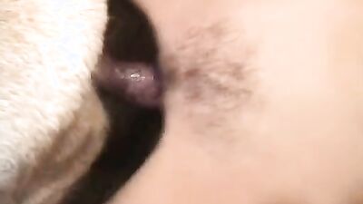 Animal porn: loli zoo porn