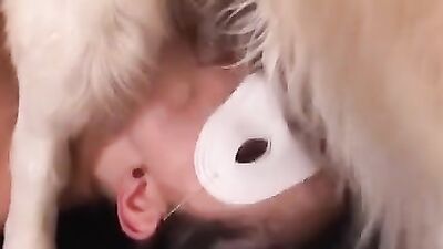 Dog girl play: zoo porn creampies