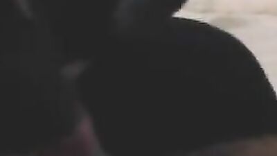 Dog girl porn: porn off zoo