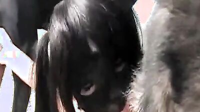 Bestiality hentai: dog sex liking