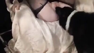 Zoo sex video: ol project dog sex