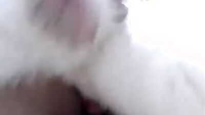 2 dogs 1 girl: smotreti video porno zoo