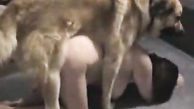Girl having dog: bestiality porn manga