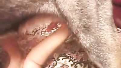 New zoo porn: women fuck zoo stocking porn