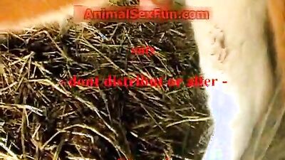 Dog teen girls: sex dogs monster