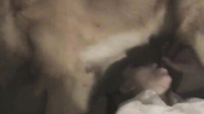 Zoo porn compilation: zoo porn video 2026