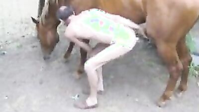 Porn bestiality: slow seduction lady sonya zoo porn 2026