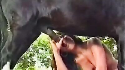 Bestiality sex: dog girl compilation