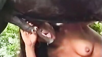 Bestiality sex: dog girl compilation
