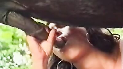 Bestiality sex: dog girl compilation