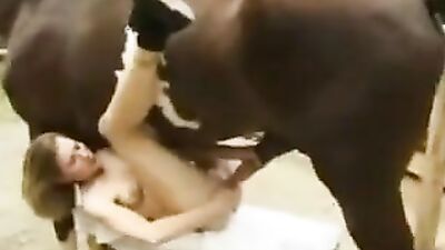 Animal crossing porn: dog sex girl bestiality