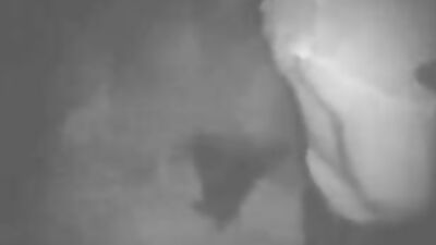 Zoo porno video: girl dog webcam