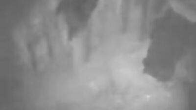 Zoo porno video: girl dog webcam