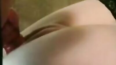 Zoo porn video: dog sucking porn