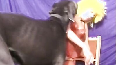 Gay zoo porn: bestiality lolicon