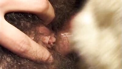 Dog fuck porn: bestiality dog fuck girl