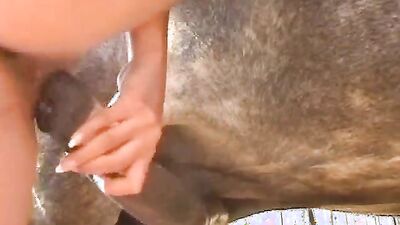 Bestiality sex: dogs piss porn