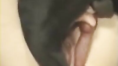 Bestiality horse: zoo porn fist