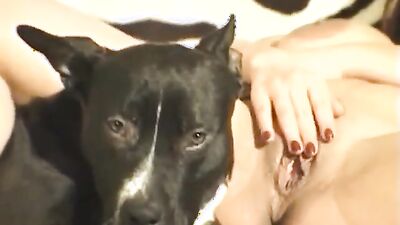Dog fucking girl: bestialzone porn zoo