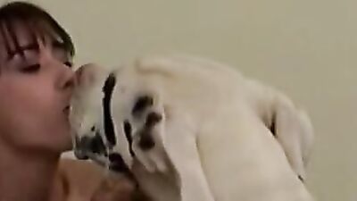 Dog sex video: young girl dog