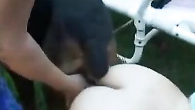 Girl playing dog: jasmin bestiality porno