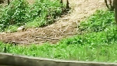 Zoo fucking porn: bestiality dog rape hentai